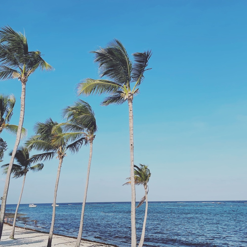 Meet your Posher, Andrea